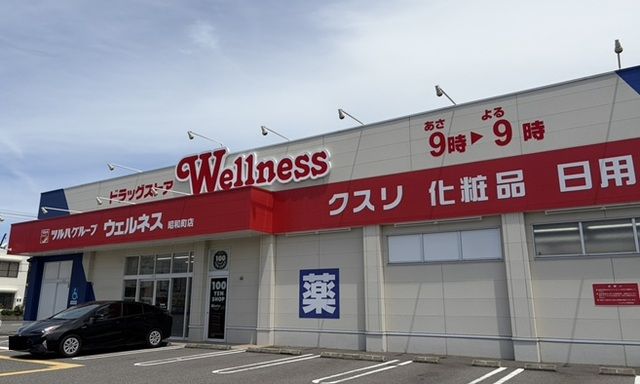 ドラックストア　ウェルネス昭和町店（ドラッグストア）まで850m
