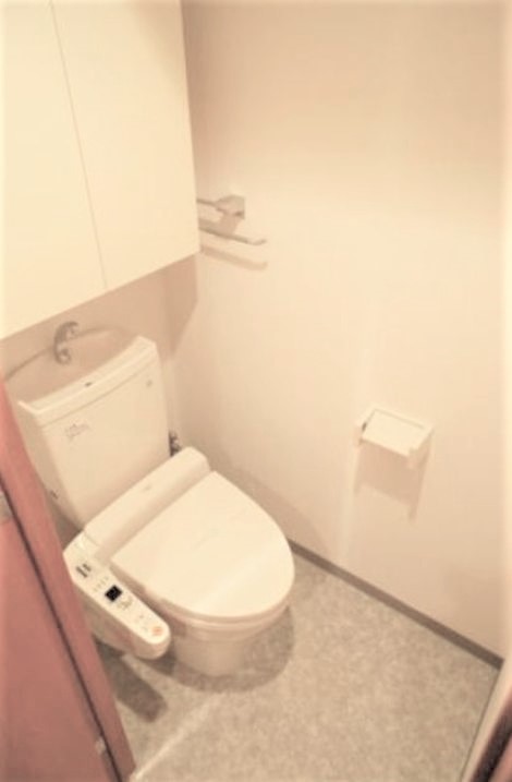 ＪＲ総武線 秋葉原駅 徒歩8分 12階建 築23年のトイレ写真