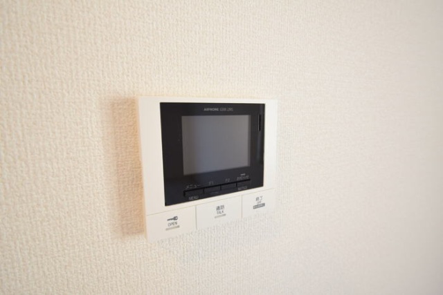 シャルマン ヴィオラのその他写真