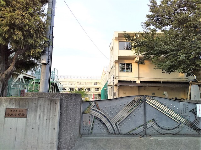 小学校　中丸小学校（小学校）まで559m