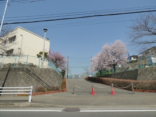 小学校　横浜市立浜小学校（小学校）まで1097m