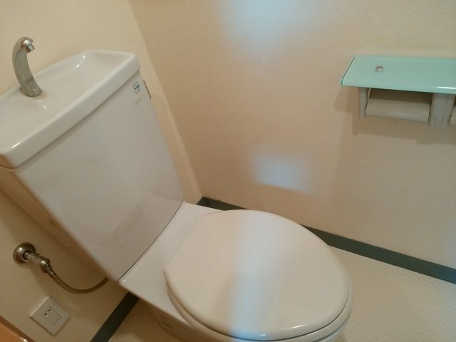 イケシマハイムのトイレ写真