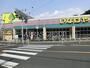 スーパー　いなげや川崎生田店（スーパー）まで486m