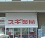 ドラックストア　スギ薬局古河あかやまジョイ店（ドラッグストア）まで805m