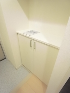 玄関　同施工会社の参考写真