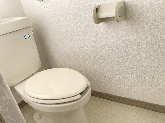 【ビラコスモスのトイレ】