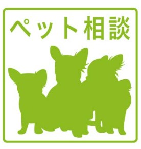 【サカモトハイツ　C棟のその他】