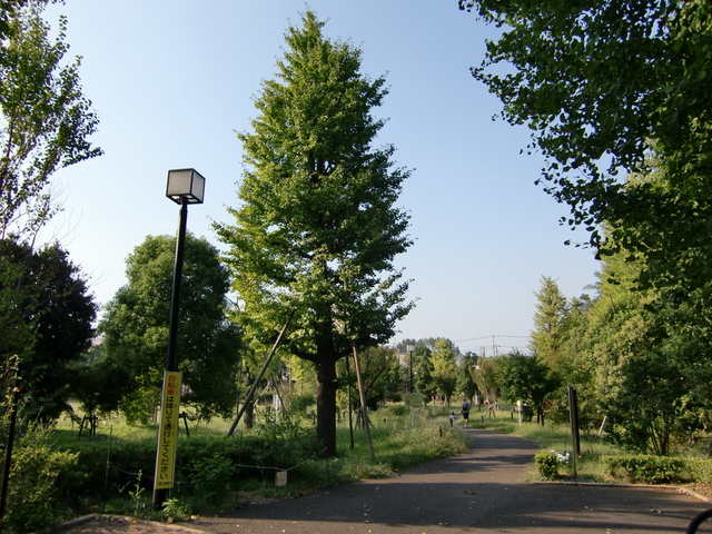 【サザンレジデンスの公園】