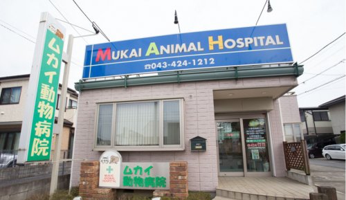 病院　ムカイ動物病院（病院）まで385m