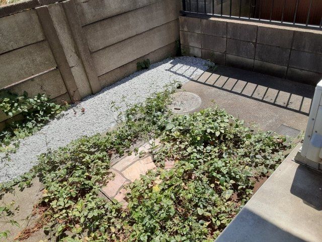 庭