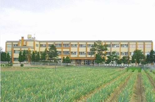 小学校　米子市立崎津小学校（小学校）まで2223m