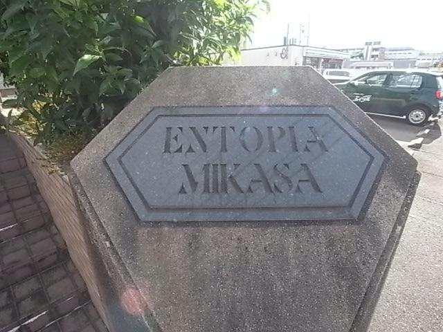 その他　その他