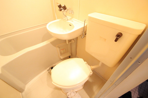 トイレ　※別号室の写真です