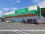 ドラックストア　ザグザグ沼南店（ドラッグストア）まで470m