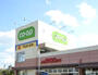 スーパー　コープみらい コープ上北台店（スーパー）まで187m