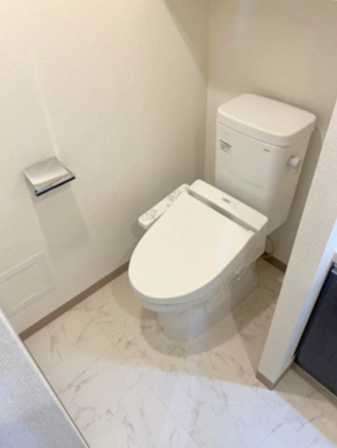 GENOVIA田端IIgreen veilのトイレ写真