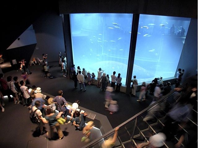 幼稚園・保育園　MIWAシンフォニア保育園（幼稚園・保育園）まで339m