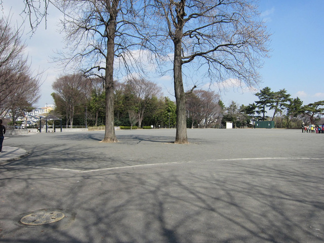 公園　川上公園（公園）まで230m