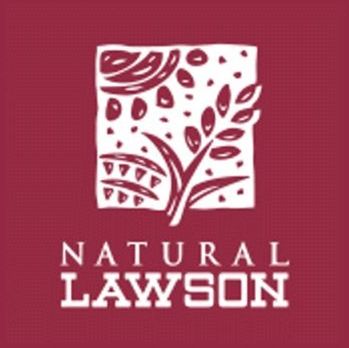 コンビニ　ナチュラルローソン昭和医科大藤が丘病院店（コンビニ）まで341m