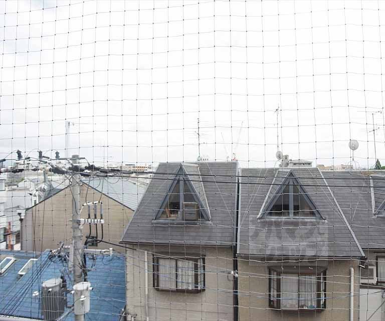 眺望　室外風景