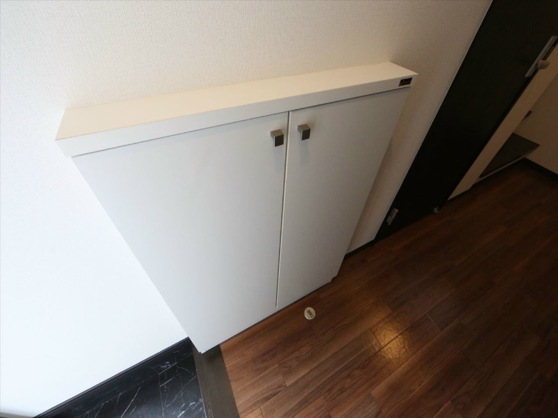 玄関　玄関　シューズボックス付　同物件別号室写真