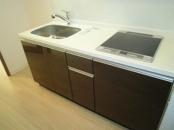 キッチン　※他号室の写真です。