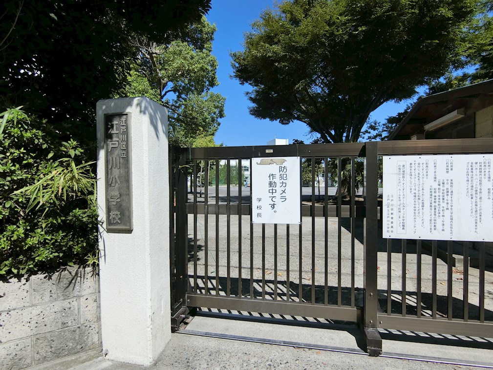 小学校　江戸川区立江戸川小学校（小学校）まで171m