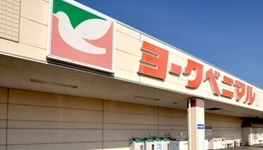 ショッピングセンター　ヨークタウン小山雨ヶ谷（ショッピングセンター）まで350m