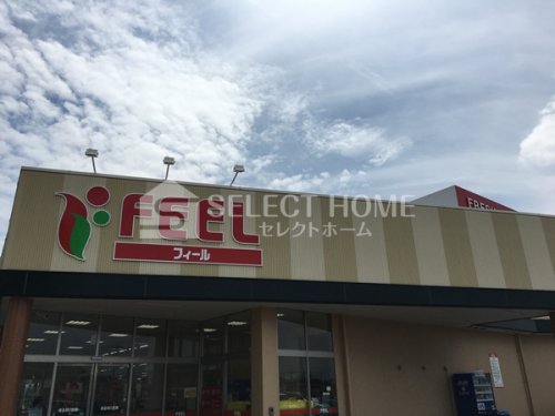スーパー　フィール岡崎柱町店（スーパー）まで539m