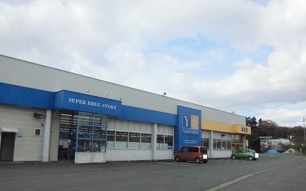 ドラックストア　薬王堂　北上村崎野店（ドラッグストア）まで1600m