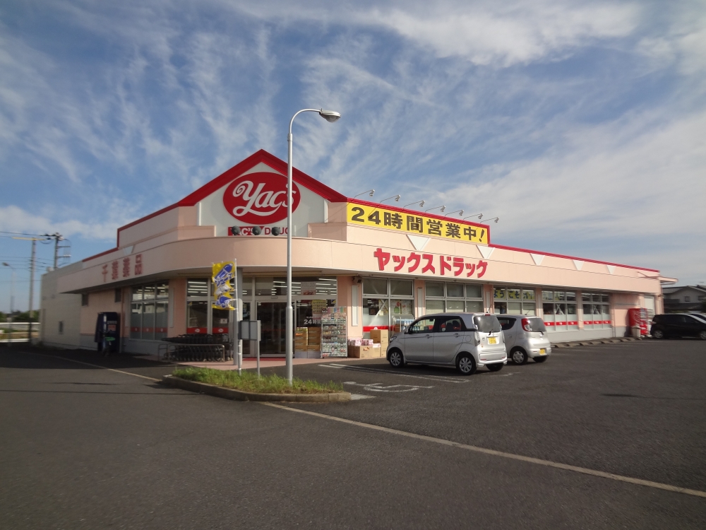ドラックストア　ヤックスドラッグ成東東薬局（ドラッグストア）まで53m