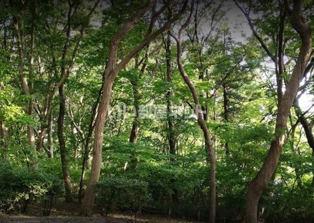 公園　黒沢池市民の森（公園）まで705m