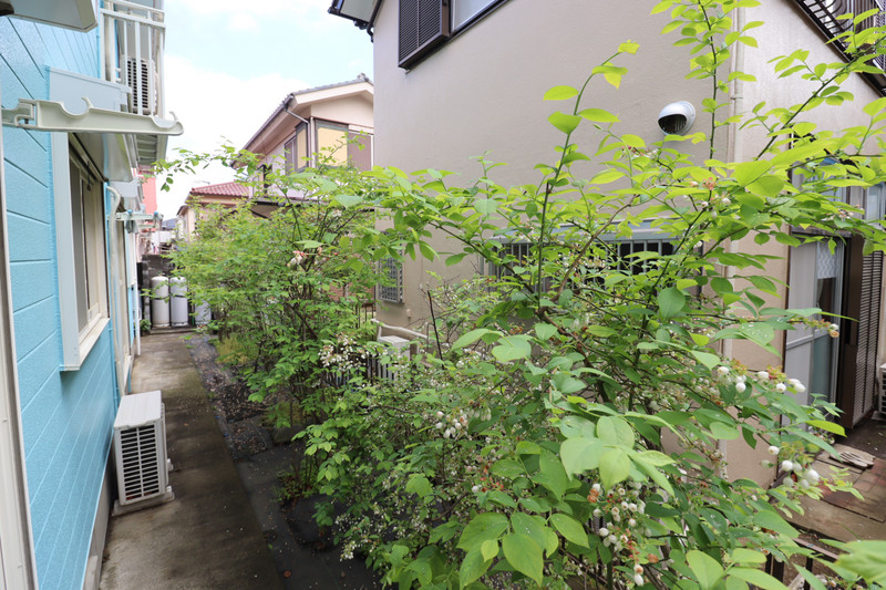 バルコニー　別室参考写真