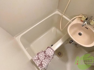 バス・シャワールーム　１人暮らしにはピッタリのサイズ感ですね！