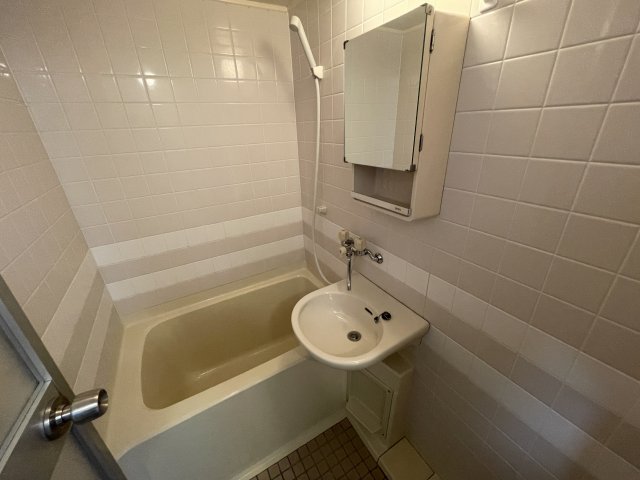 バス・シャワールーム　別号室の参考写真です