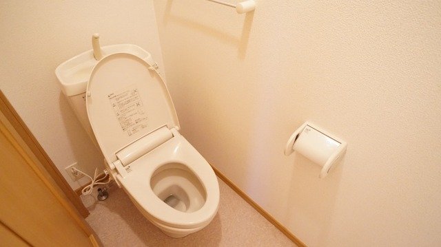 トイレ　トイレもきれいです