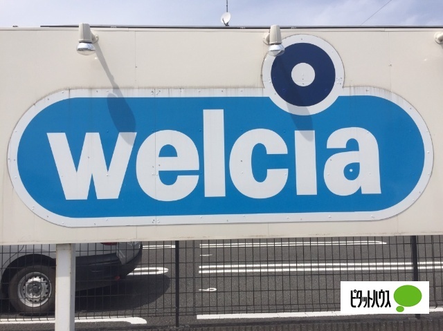 ドラックストア　ウエルシア富士宮宮原店（ドラッグストア）まで314m