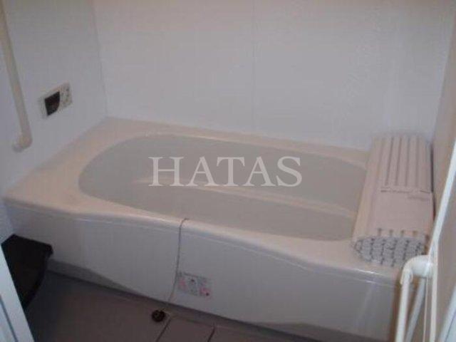 バス・シャワールーム　同物件別部屋です