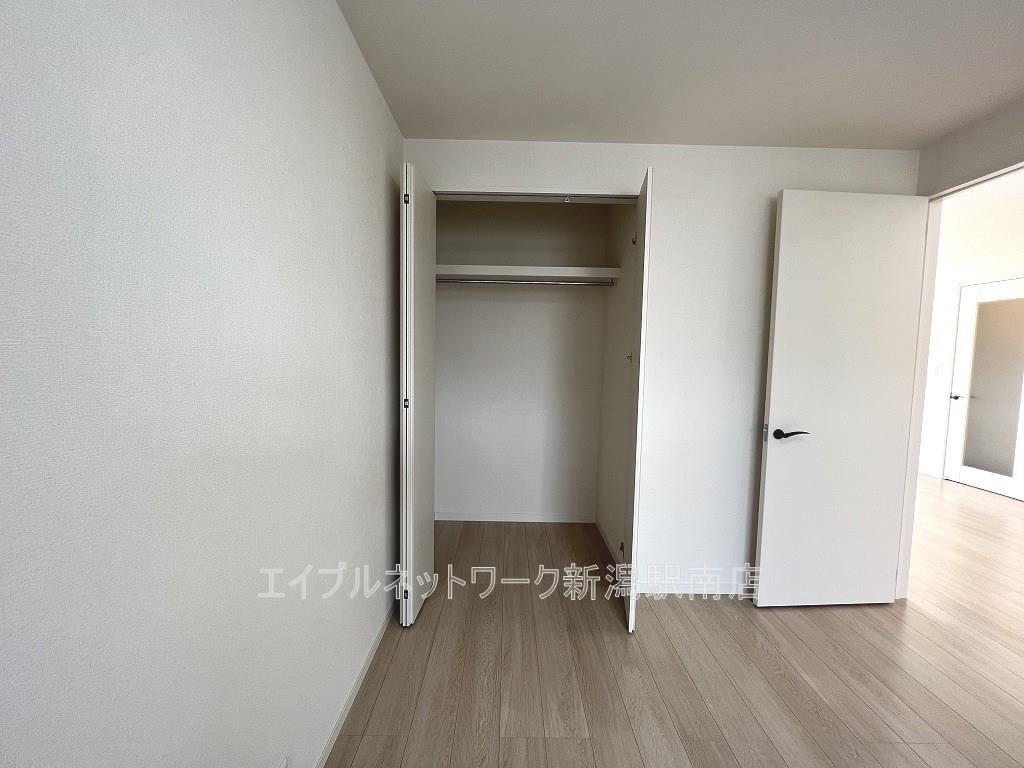 収納　同タイプ、別部屋写真