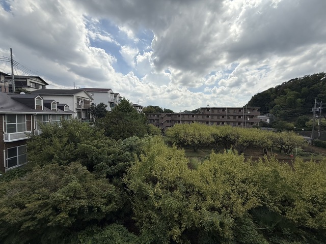 眺望　別部屋参考写真です