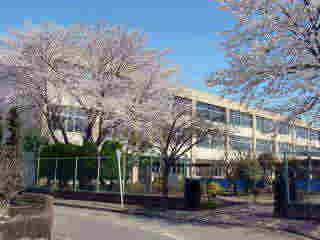 小学校　東大和市立第七小学校（小学校）まで340m