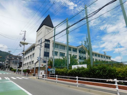 小学校　神戸市立六甲小学校（小学校）まで504m