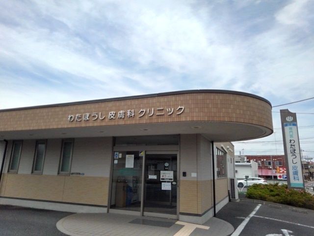 病院　わたぼうし皮膚科クリニック（病院）まで250m