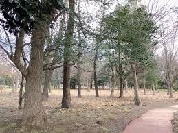 公園　八千代台北市民の森（公園）まで590m
