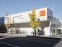 ドラックストア　ウエルシア平塚八重咲店（ドラッグストア）まで520m