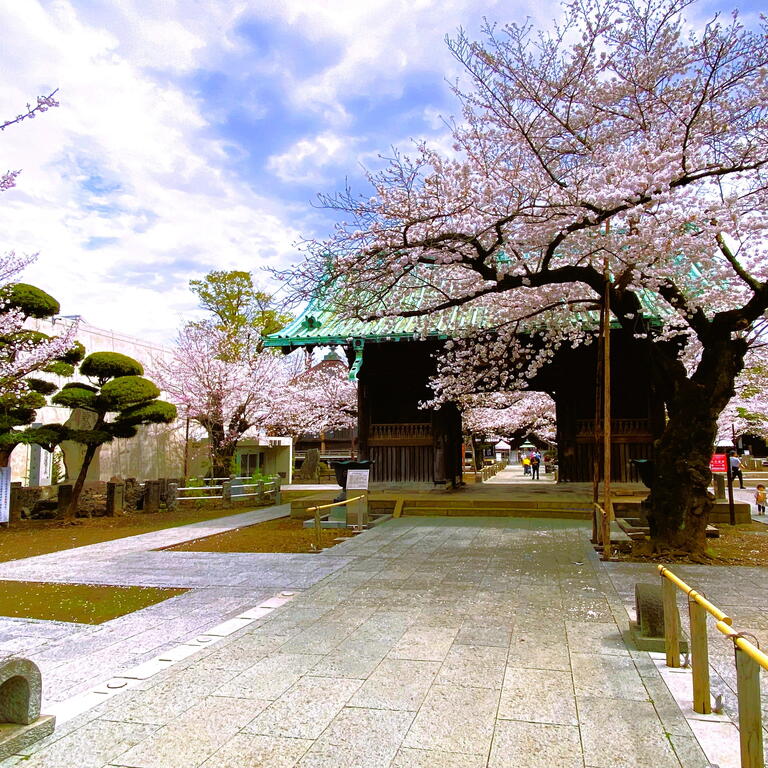 その他　祐天寺（その他）まで250m