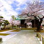 その他　祐天寺（その他）まで250m