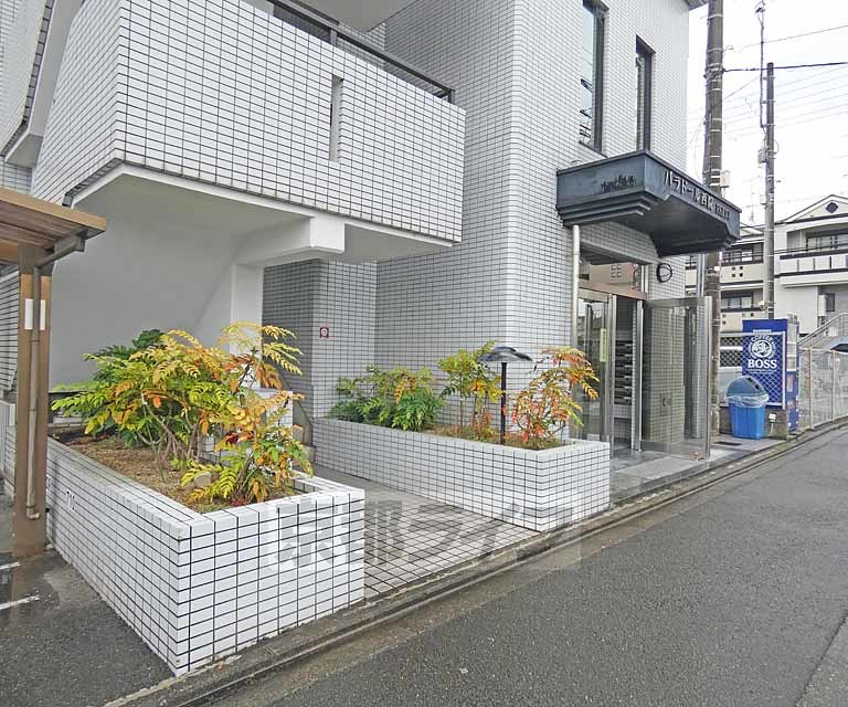 庭