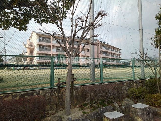 小学校　久留米市立鳥飼小学校（小学校）まで243m
