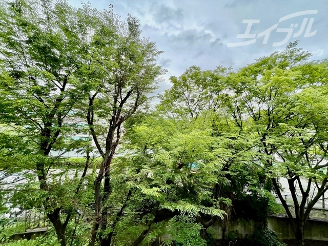 眺望